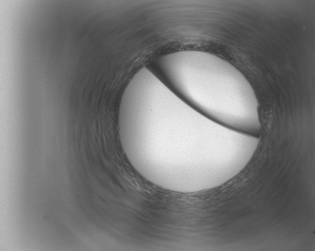 X0000080130916200612302032