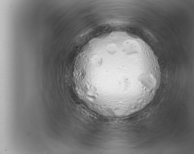 X0000080130917200612302032