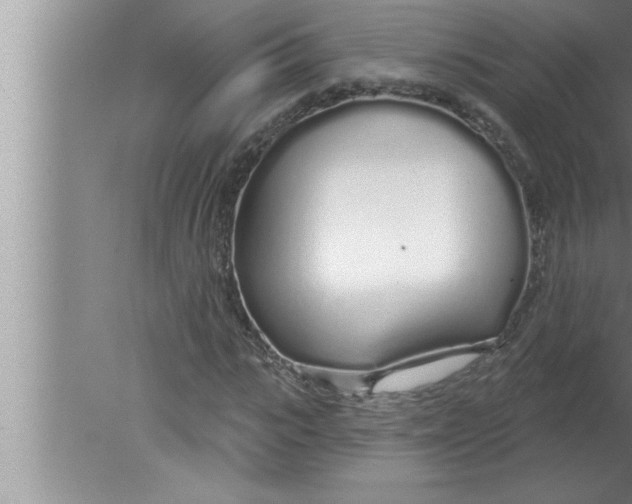 X0000080130919200612302032