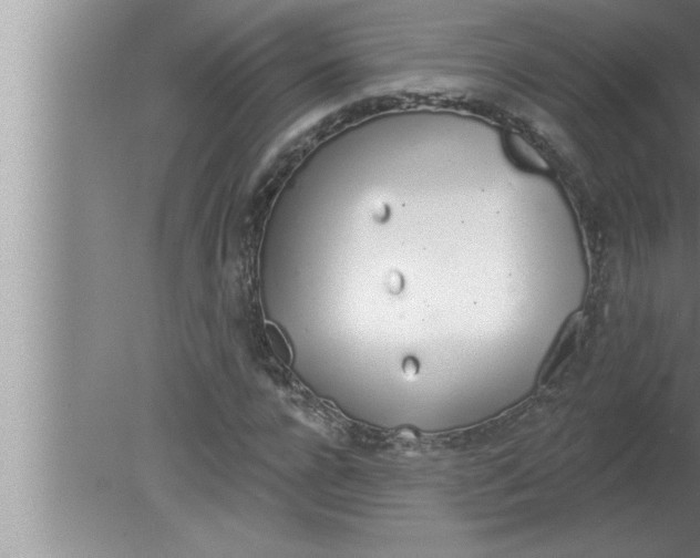 X0000080130920200612302032