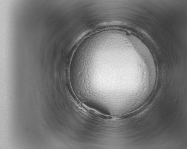 X0000080130921200612302032