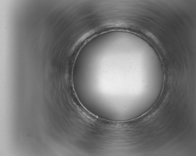 X0000080130922200612302032