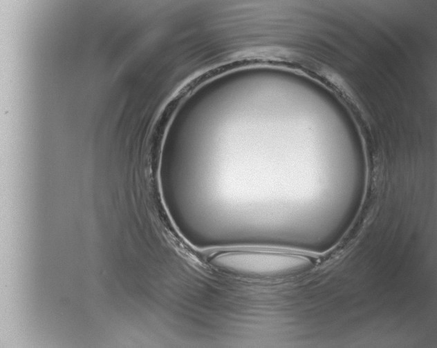 X0000080130923200612302032