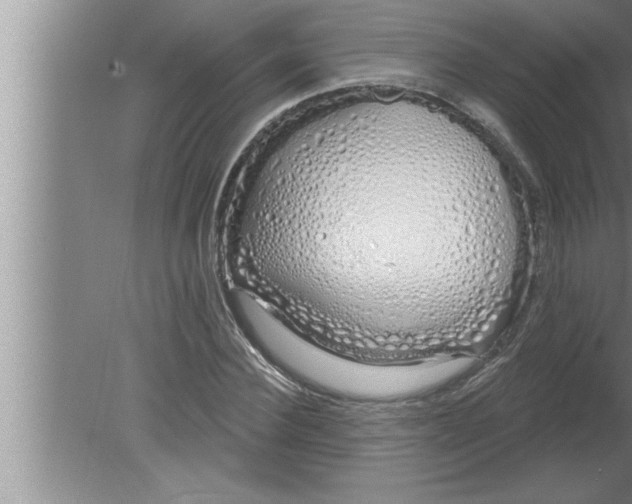 X0000080130924200612302032