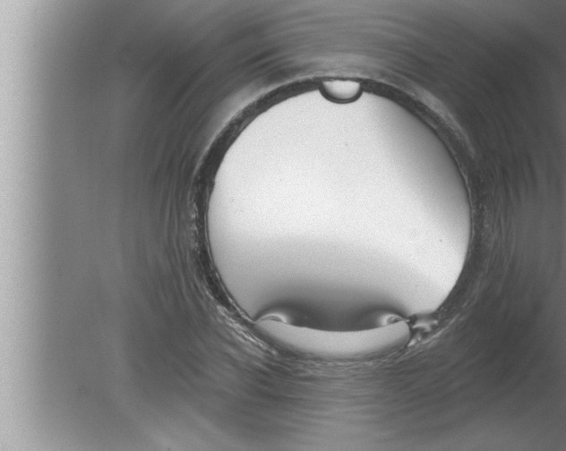 X0000080130926200612302032