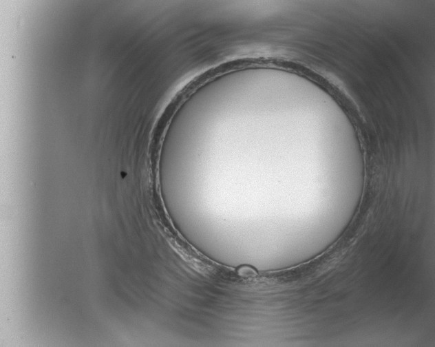 X0000080130927200612302032