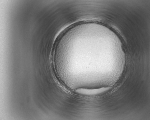 X0000080130928200612302032