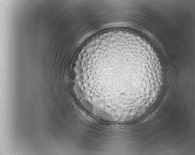 X0000080130929200612302032