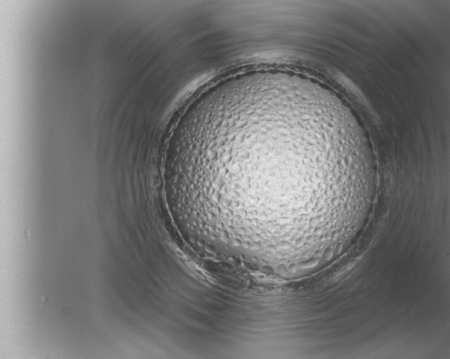 X0000080130930200612302032