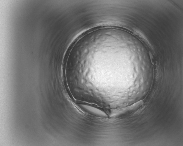 X0000080130932200612302032