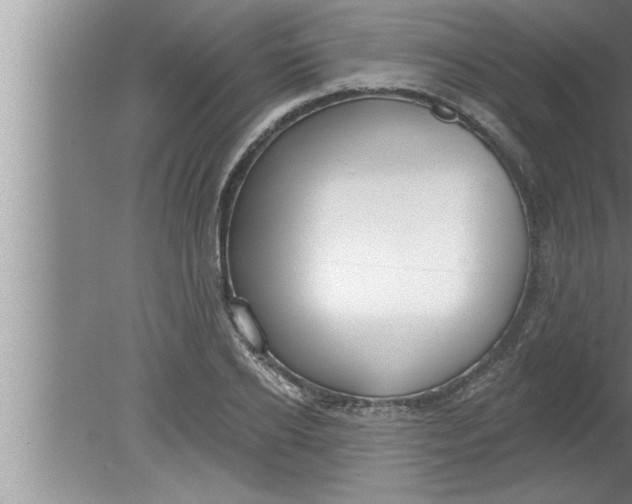 X0000080130934200612302032