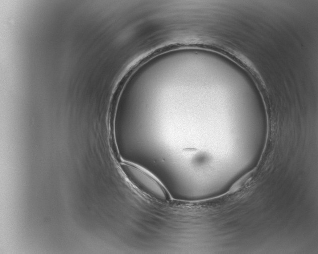 X0000080130935200612302032