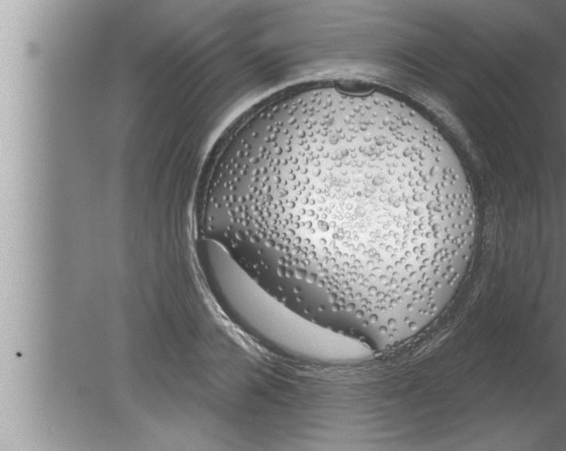 X0000080130936200612302032