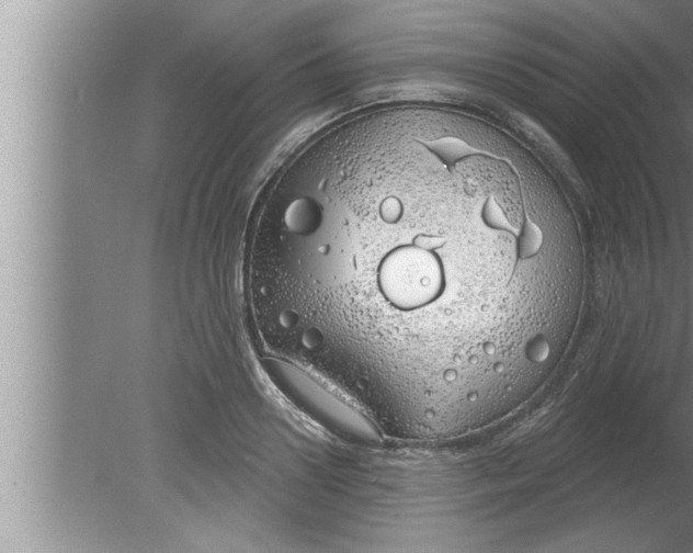 X0000080130938200612302032