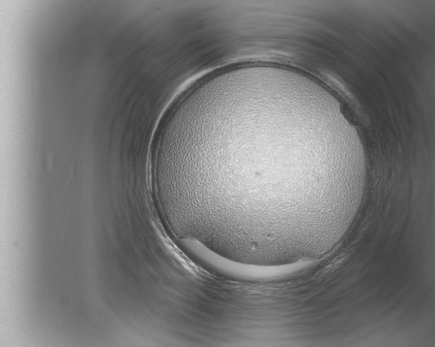 X0000080130940200612302032