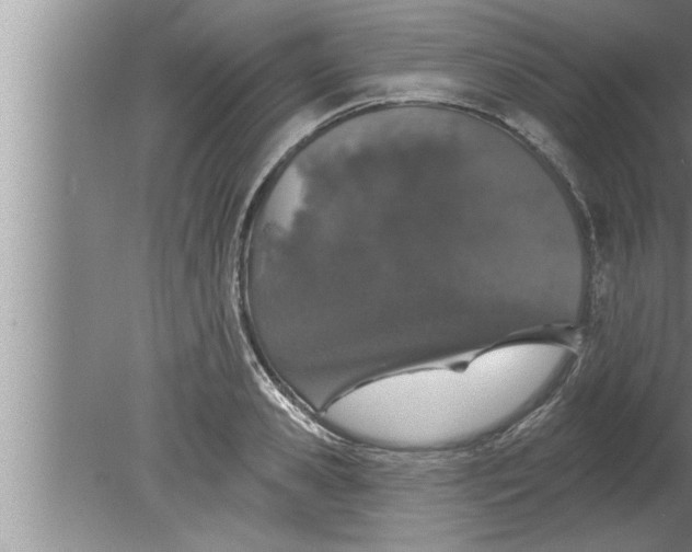 X0000080130941200612302032