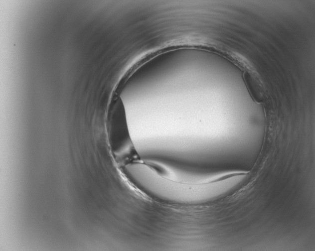 X0000080130942200612302032