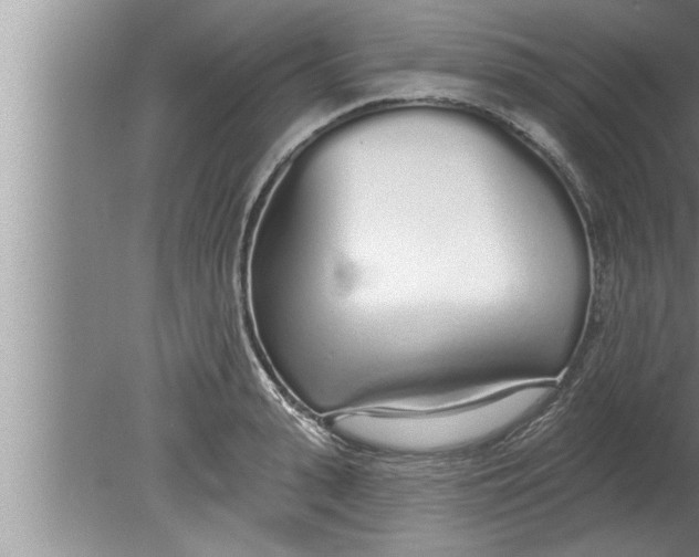 X0000080130943200612302032