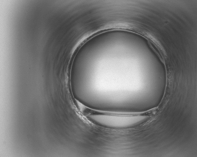 X0000080130944200612302032