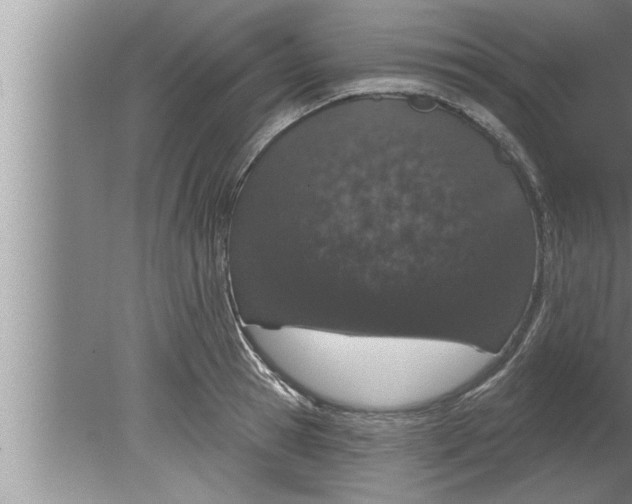 X0000080130945200612302032