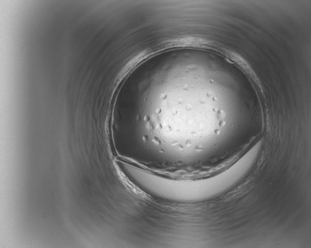 X0000080130946200612302032