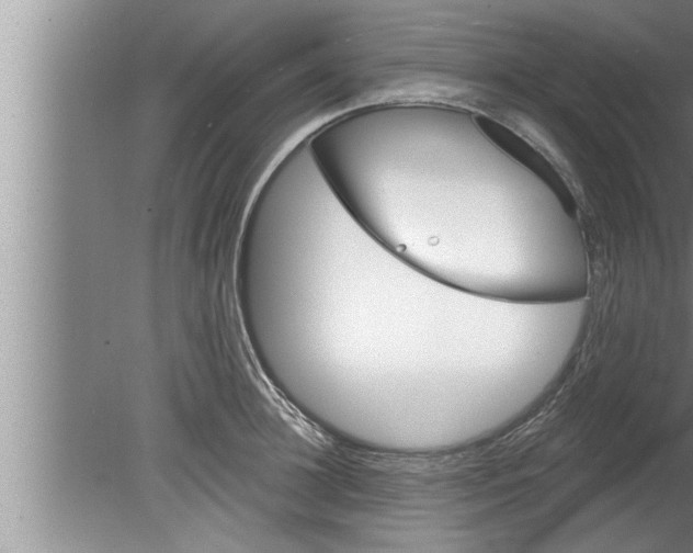 X0000080130948200612302032