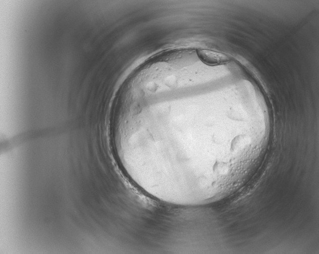 X0000080130949200612302032