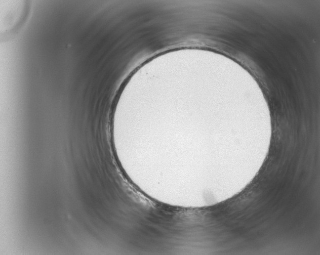 X0000080130950200612302032