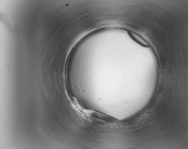 X0000080130951200612302032