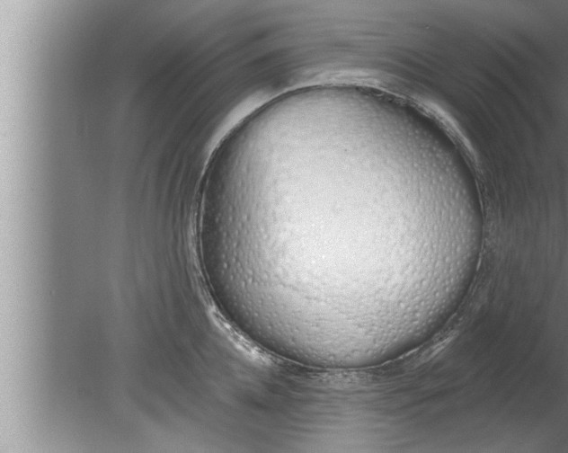 X0000080130952200612302032