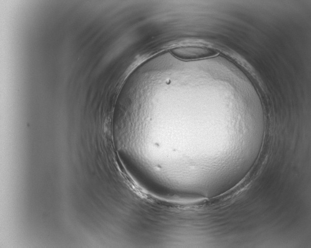 X0000080130953200612302032