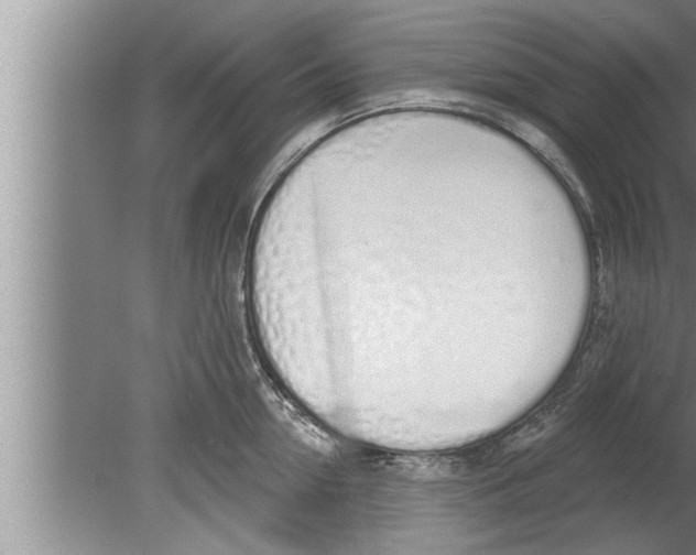 X0000080130954200612302033