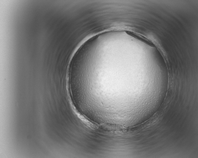 X0000080130955200612302033