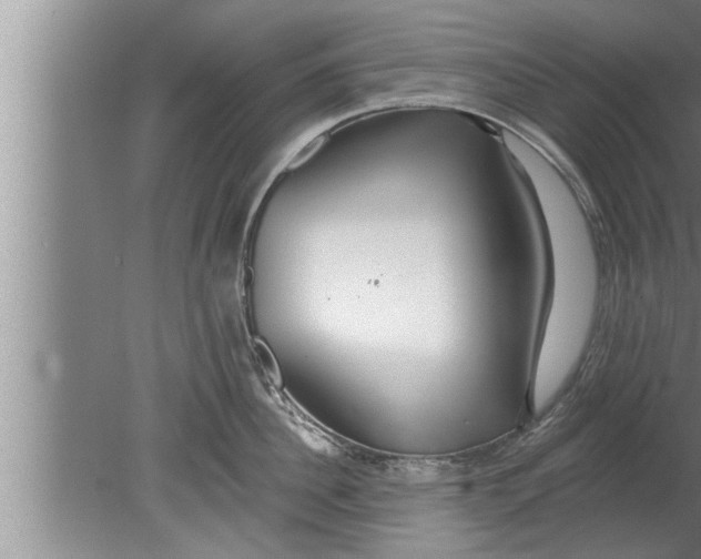 X0000080130956200612302033