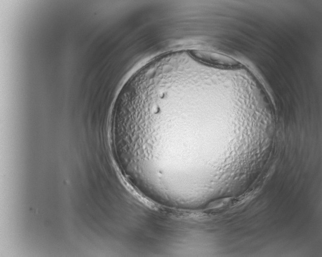 X0000080130957200612302033