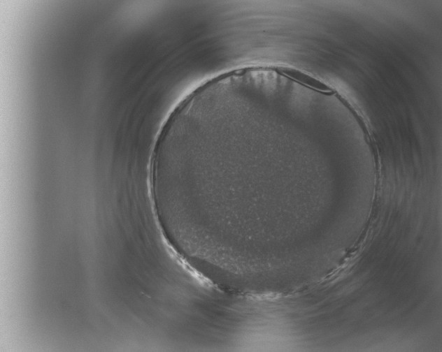 X0000080130958200612302033