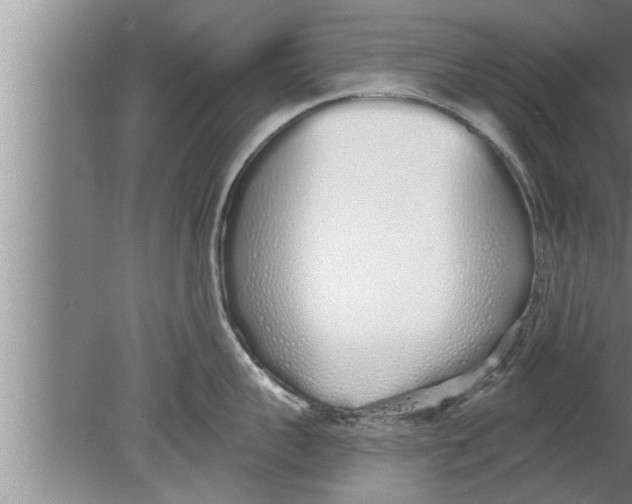 X0000080130959200612302033