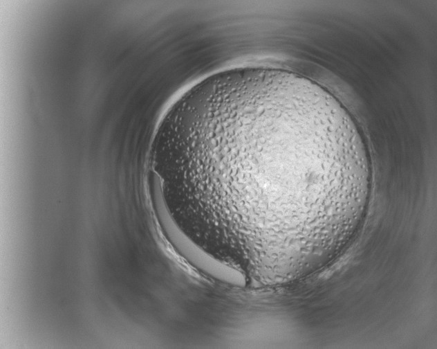 X0000080130960200612302033