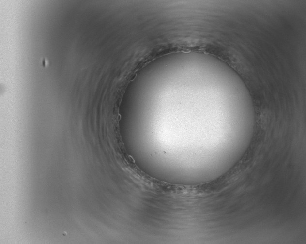 X0000080130961200612302032