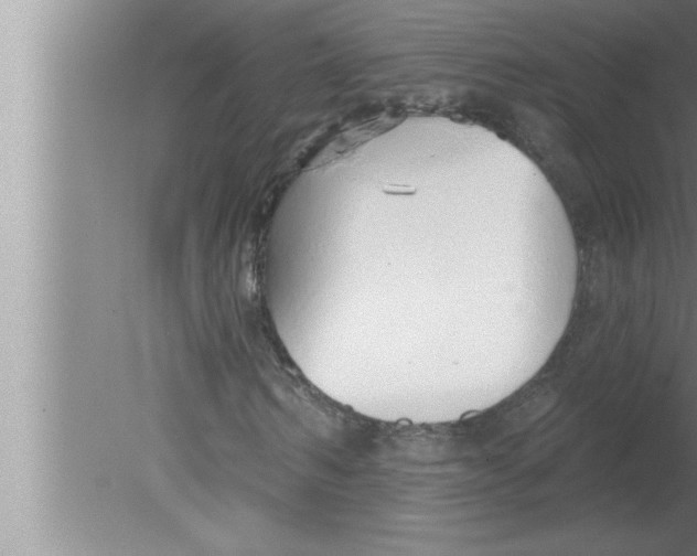 X0000080130962200612302032