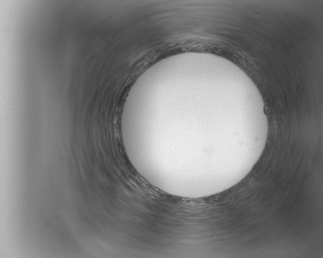 X0000080130964200612302032