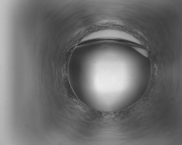 X0000080130965200612302032