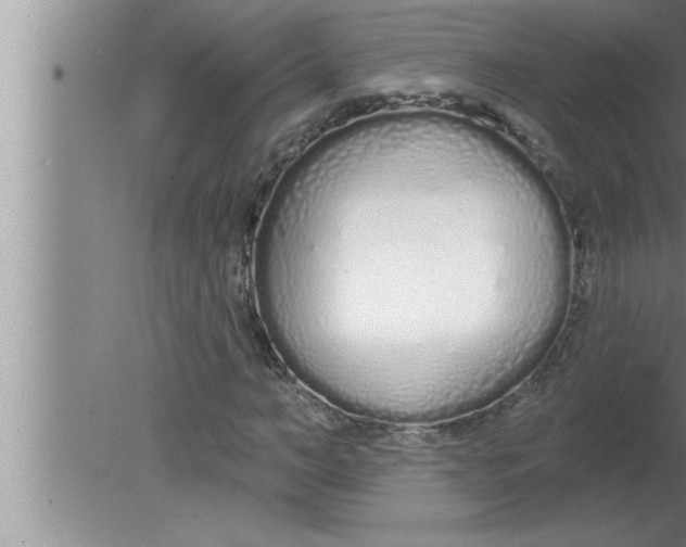 X0000080130966200612302032