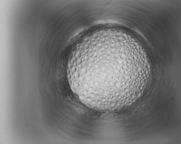 X0000080130967200612302032