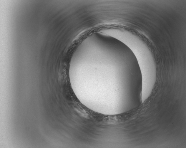 X0000080130968200612302032