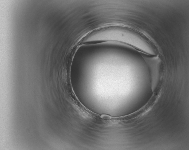 X0000080130969200612302032