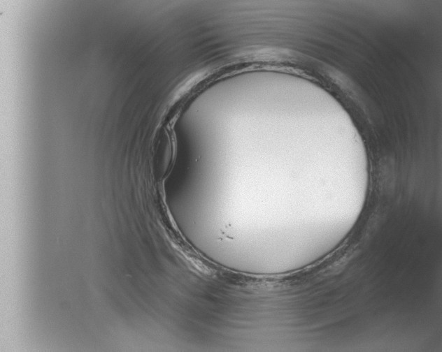 X0000080130970200612302032