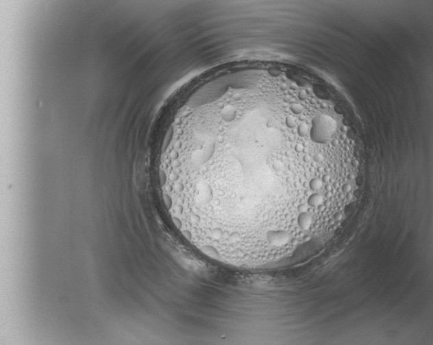 X0000080130971200612302032