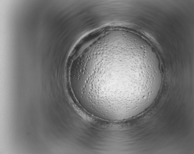 X0000080130976200612302032