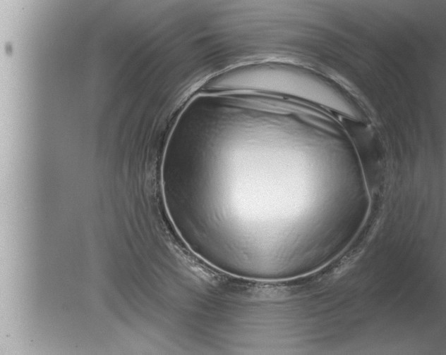 X0000080130977200612302032